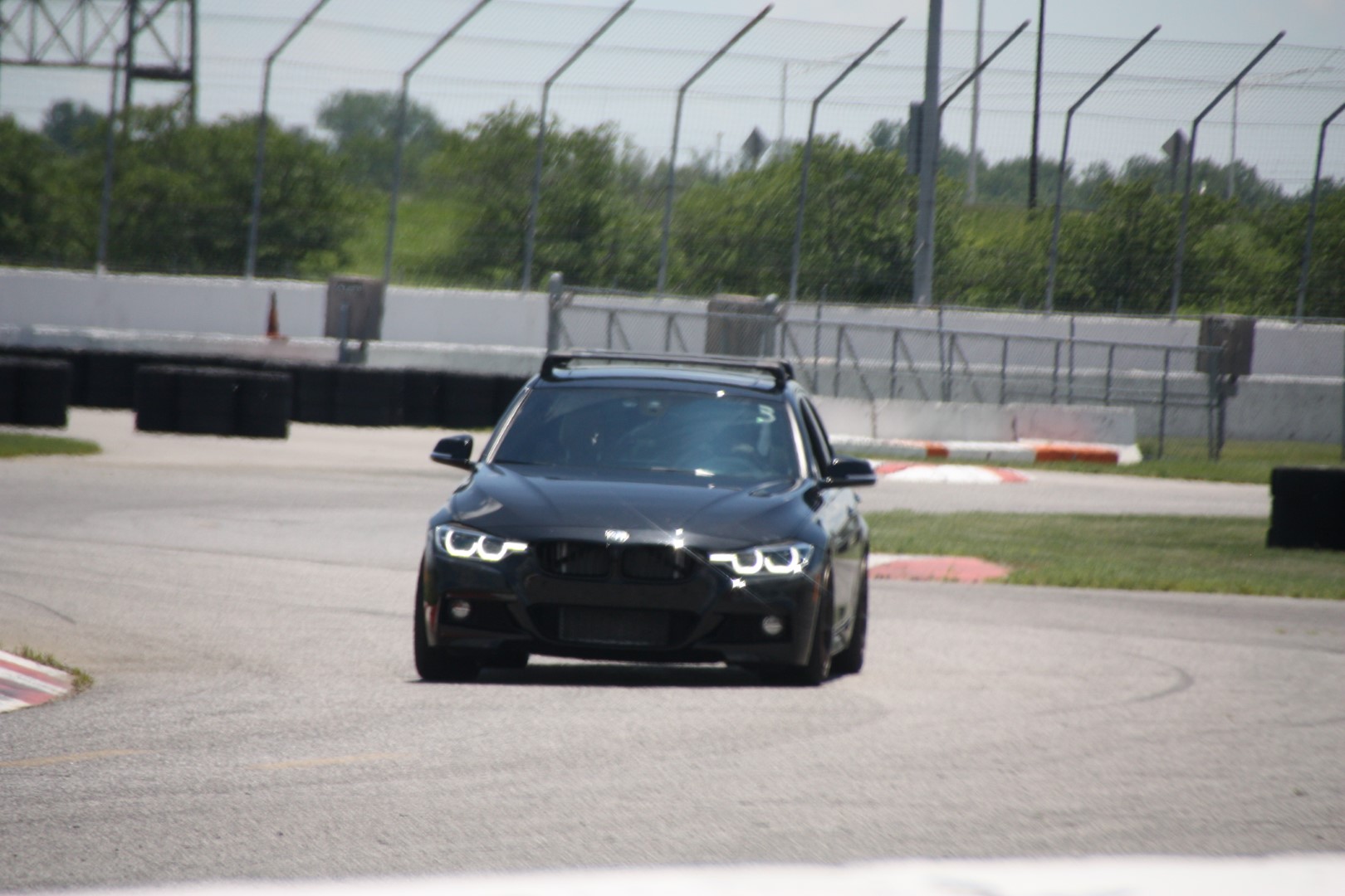 IMG_0855 (Large).JPG