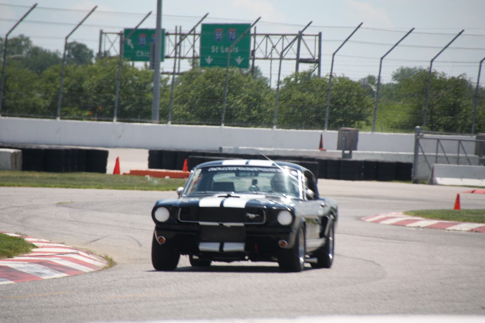IMG_0871 (Large).JPG