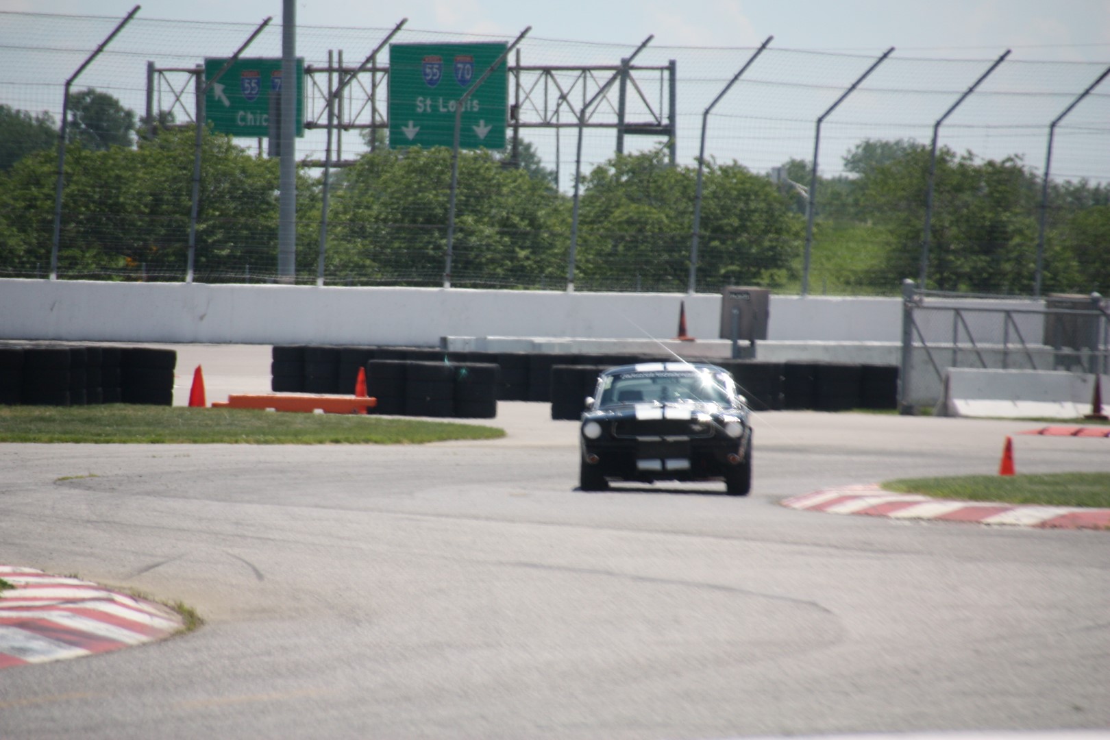 IMG_0884 (Large).JPG