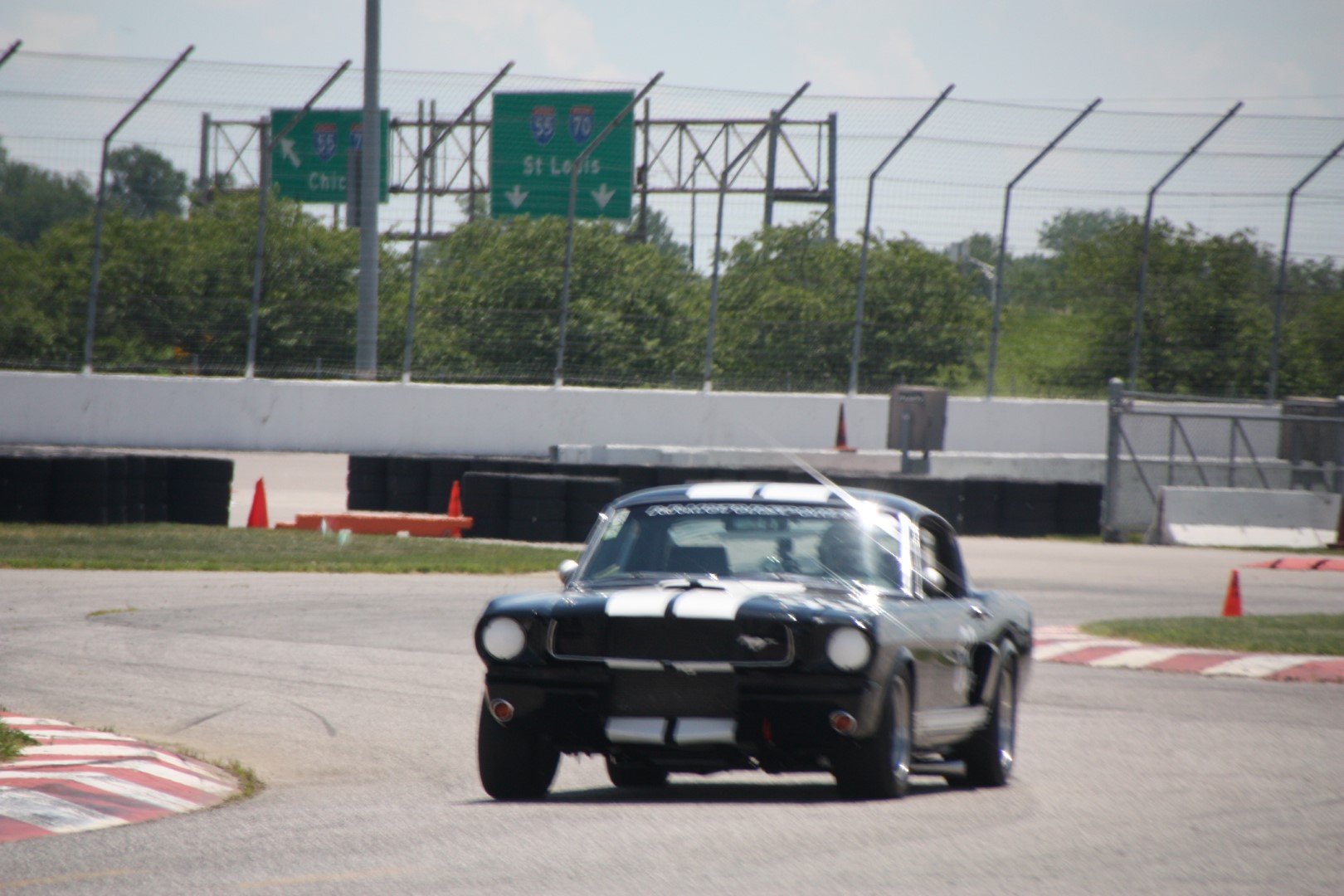 IMG_0885 (Large).JPG