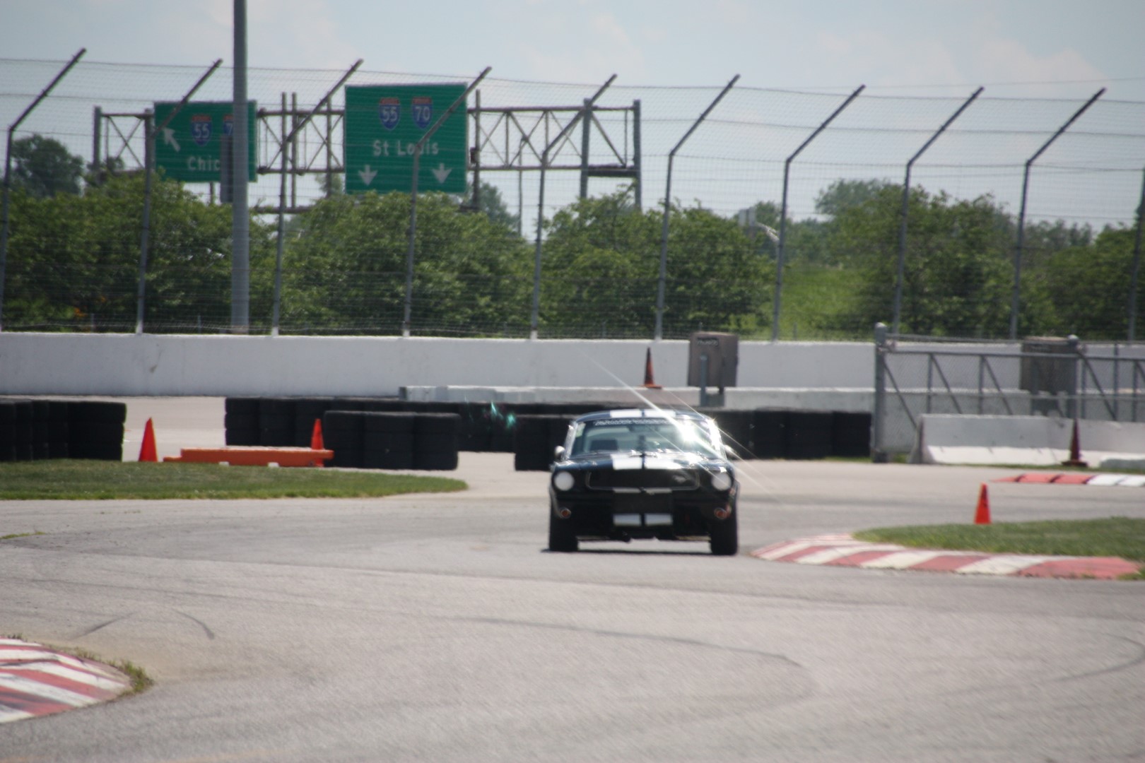 IMG_0904 (Large).JPG