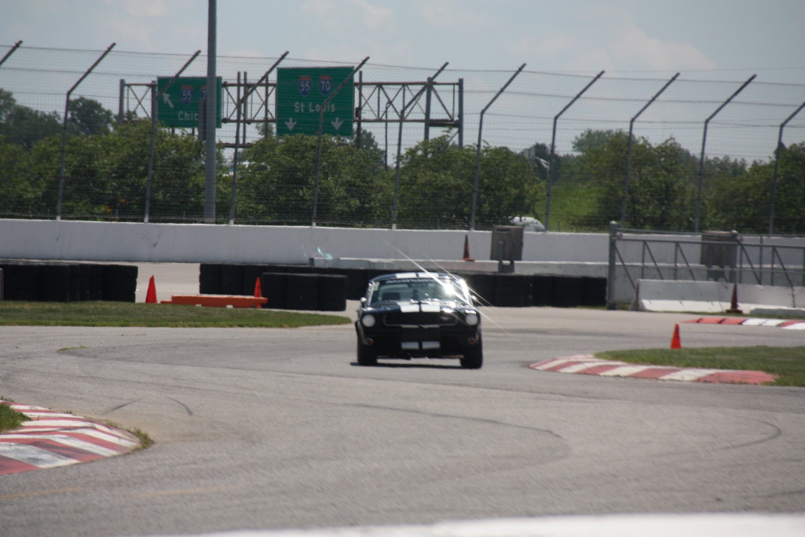 IMG_0923 (Large).JPG