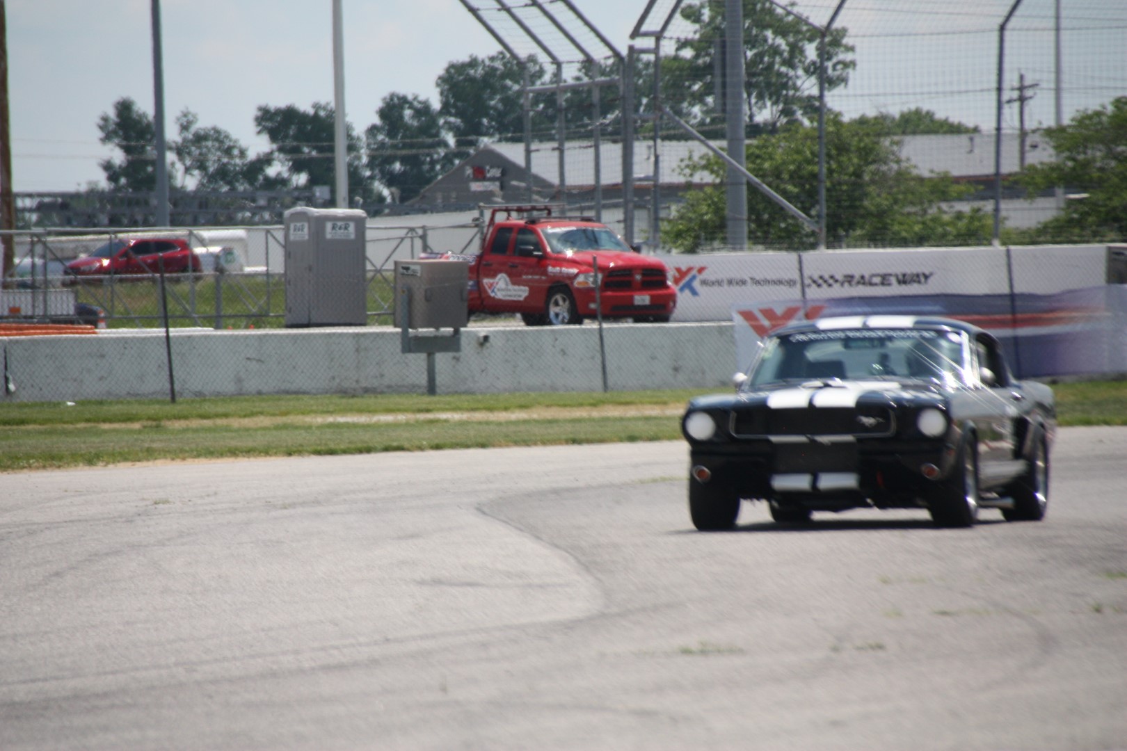 IMG_1032 (Large).JPG