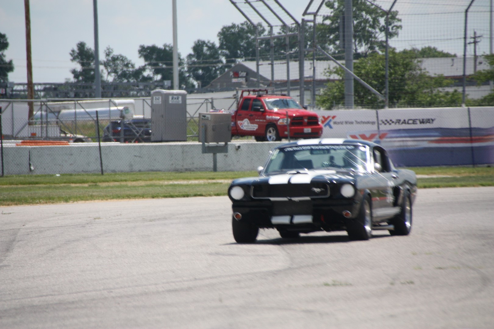 IMG_1033 (Large).JPG