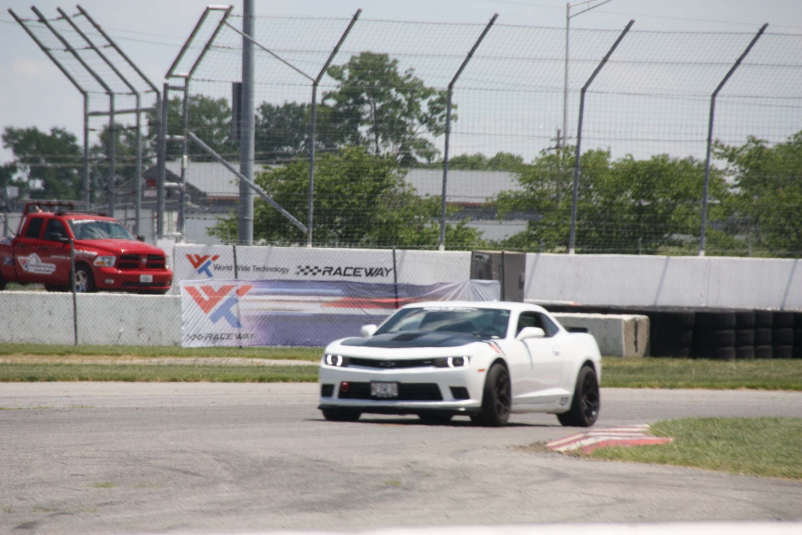 IMG_1085 (Large).JPG