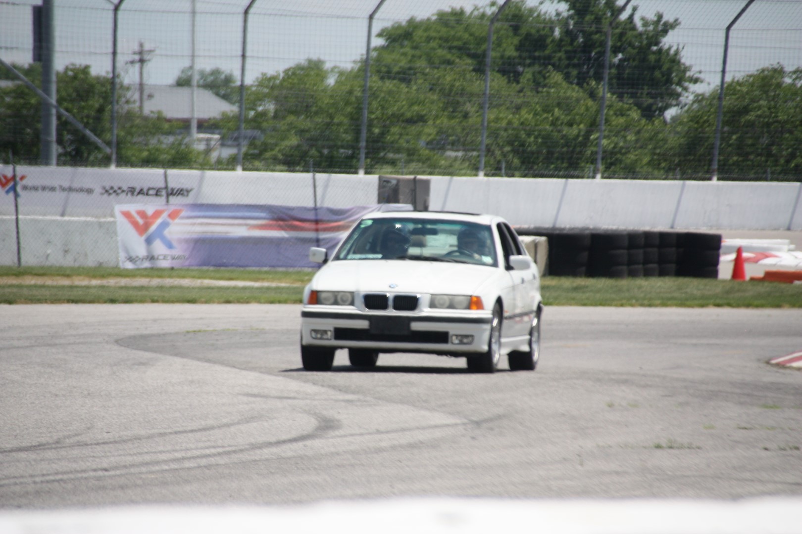 IMG_1102 (Large).JPG