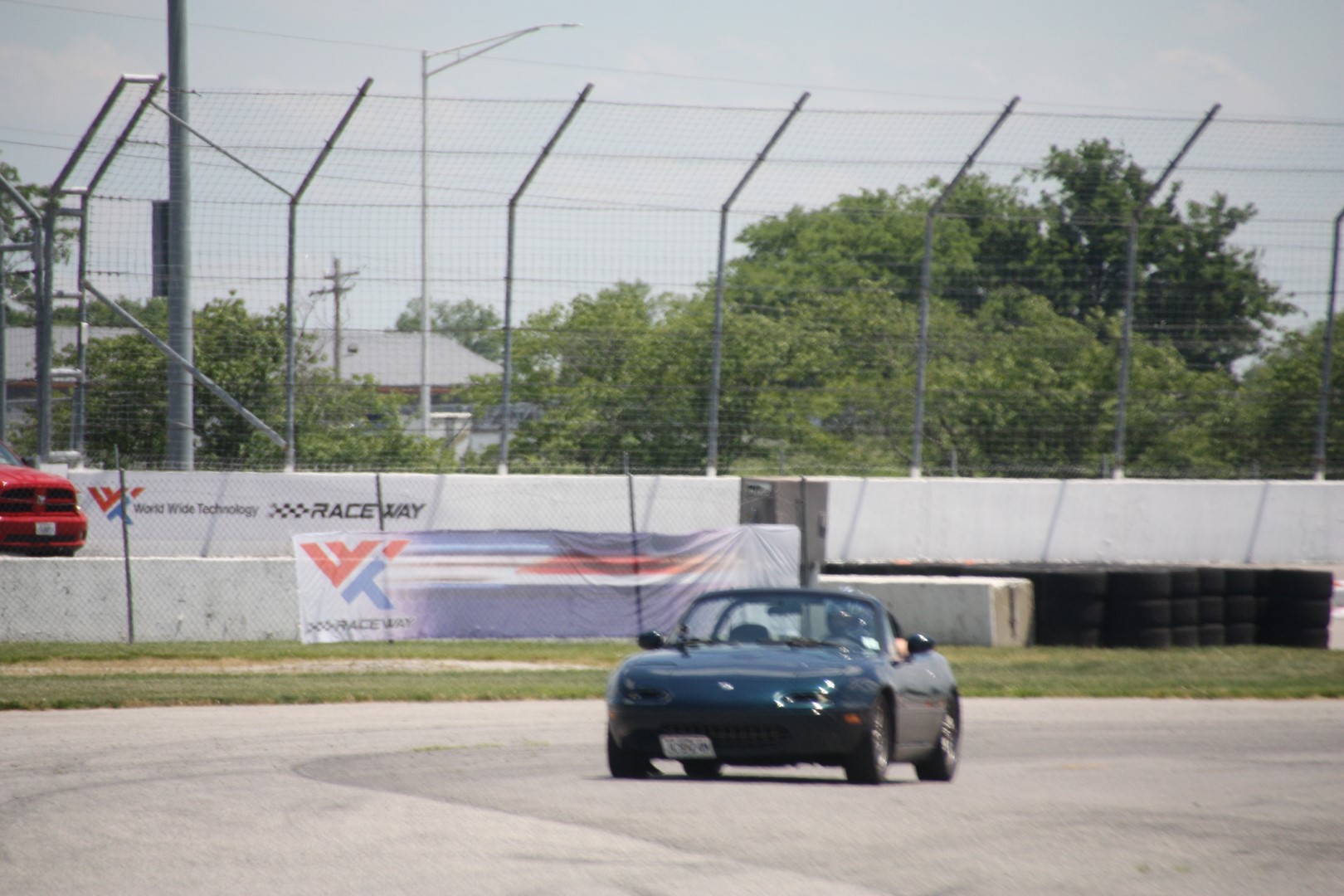 IMG_1103 (Large).JPG