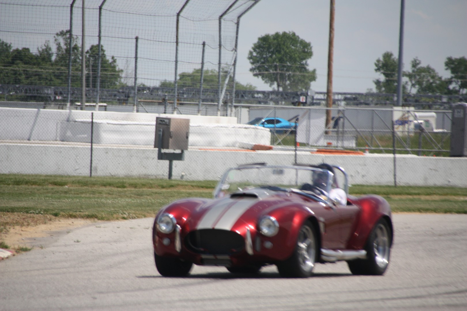 IMG_1124 (Large).JPG