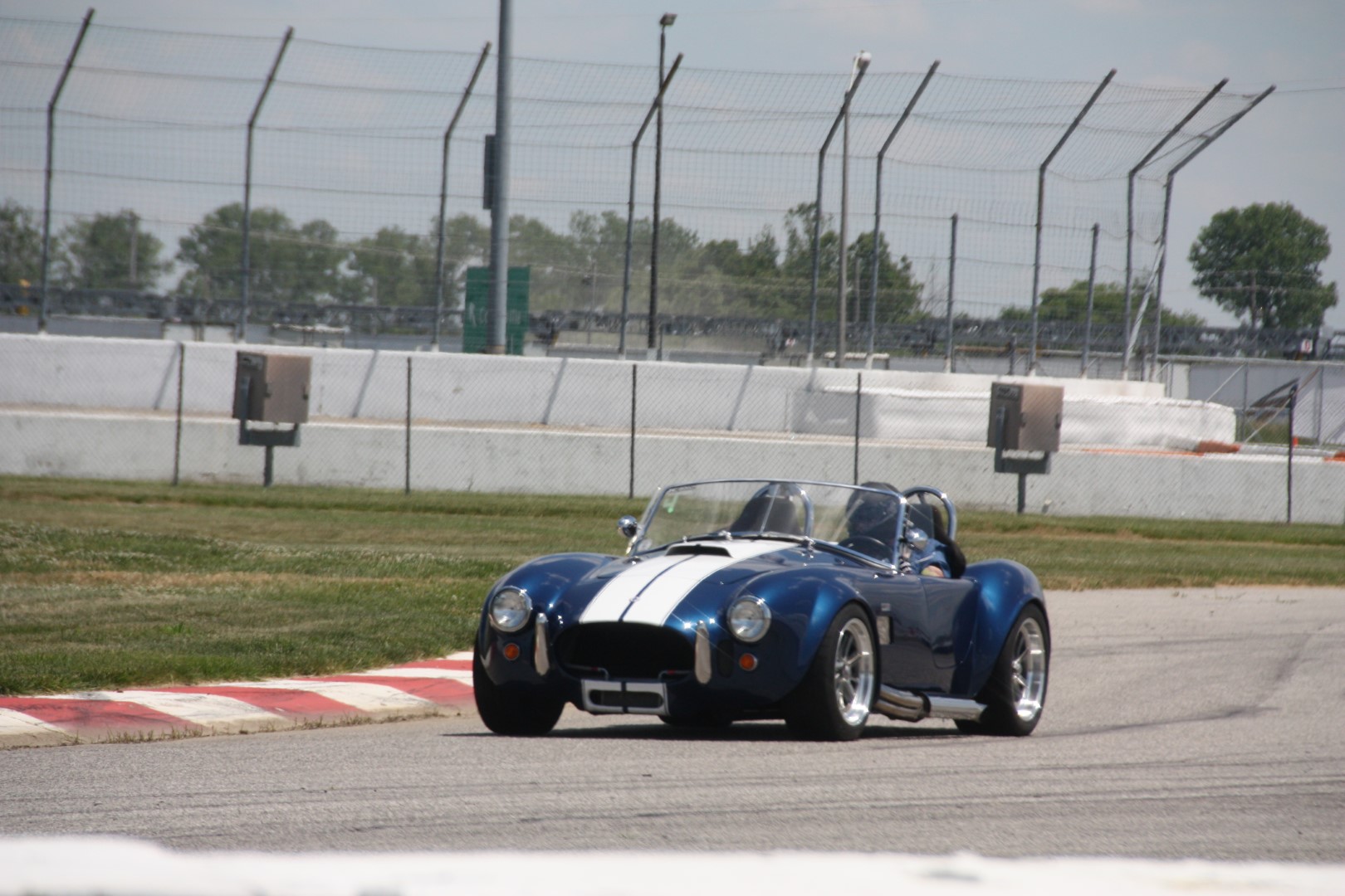 IMG_1142 (Large).JPG