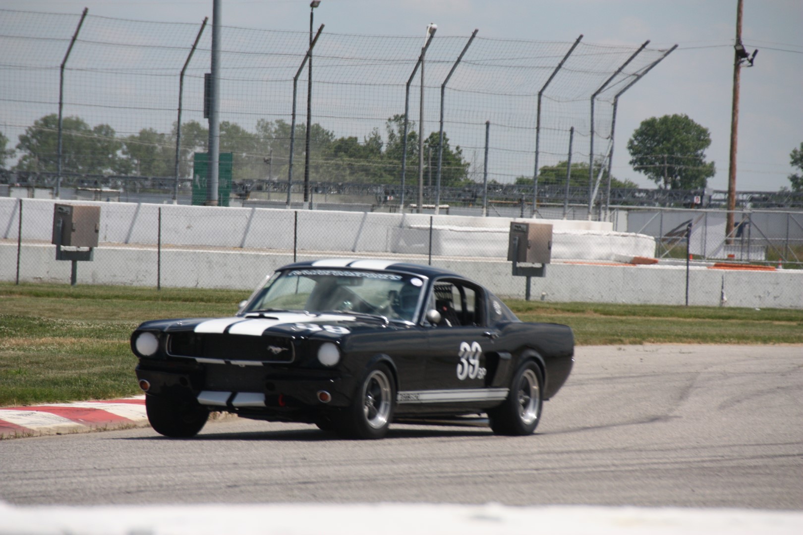 IMG_1143 (Large).JPG