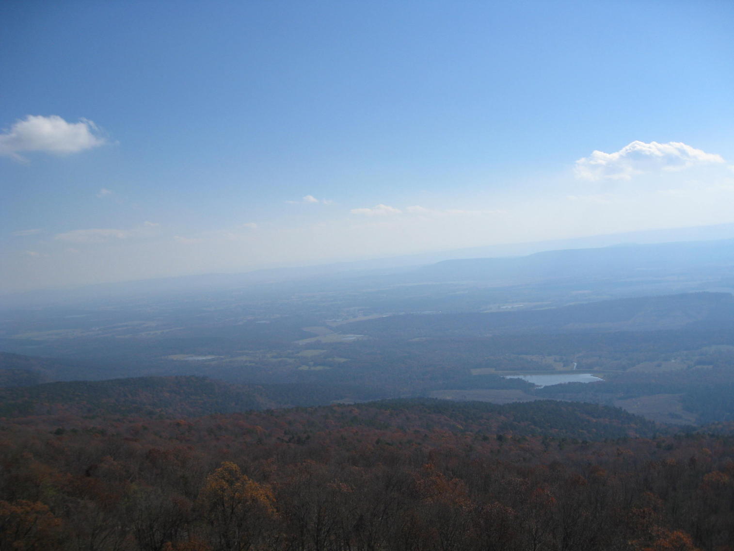 IMG_1749.jpg