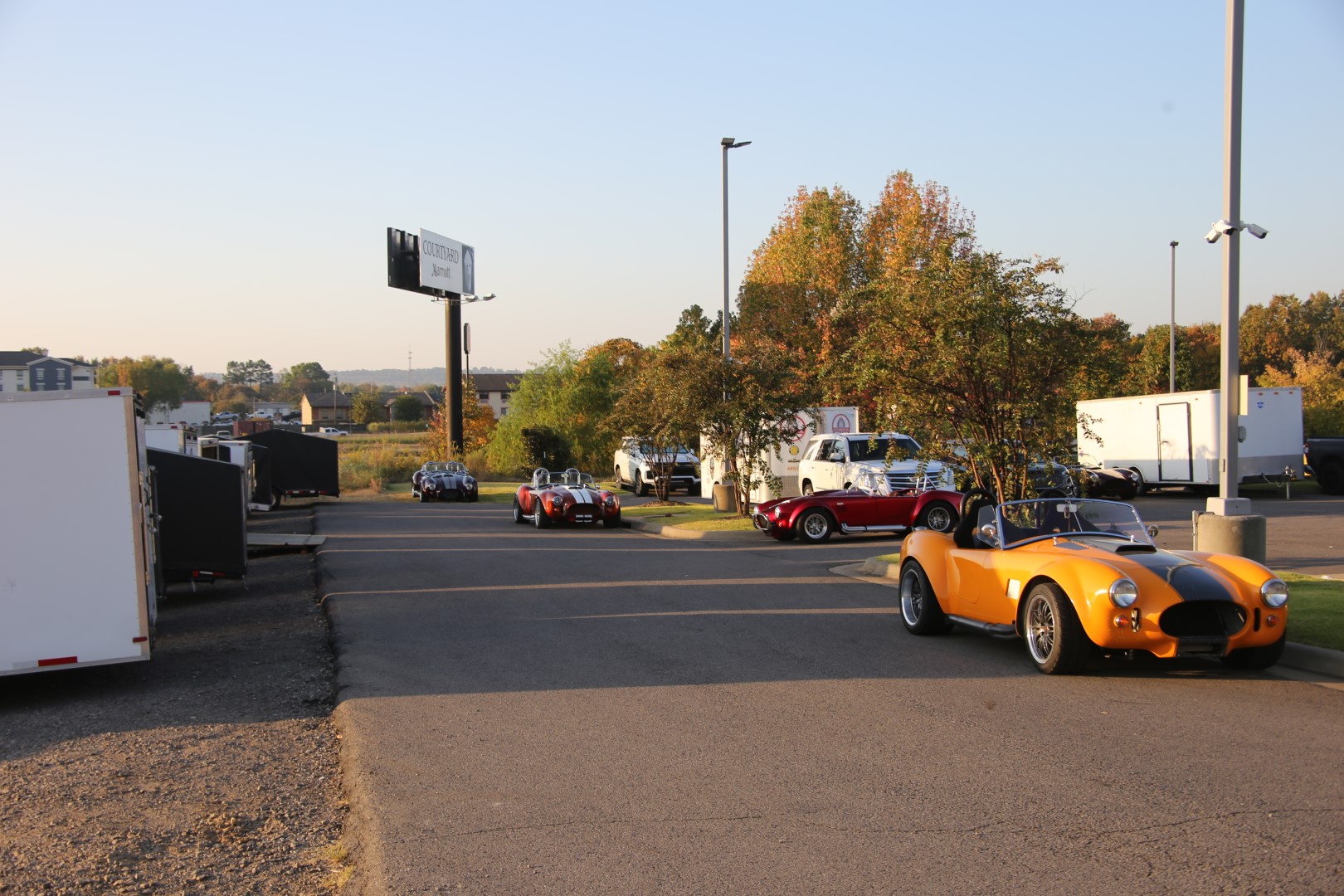 IMG_6312 (Large).JPG