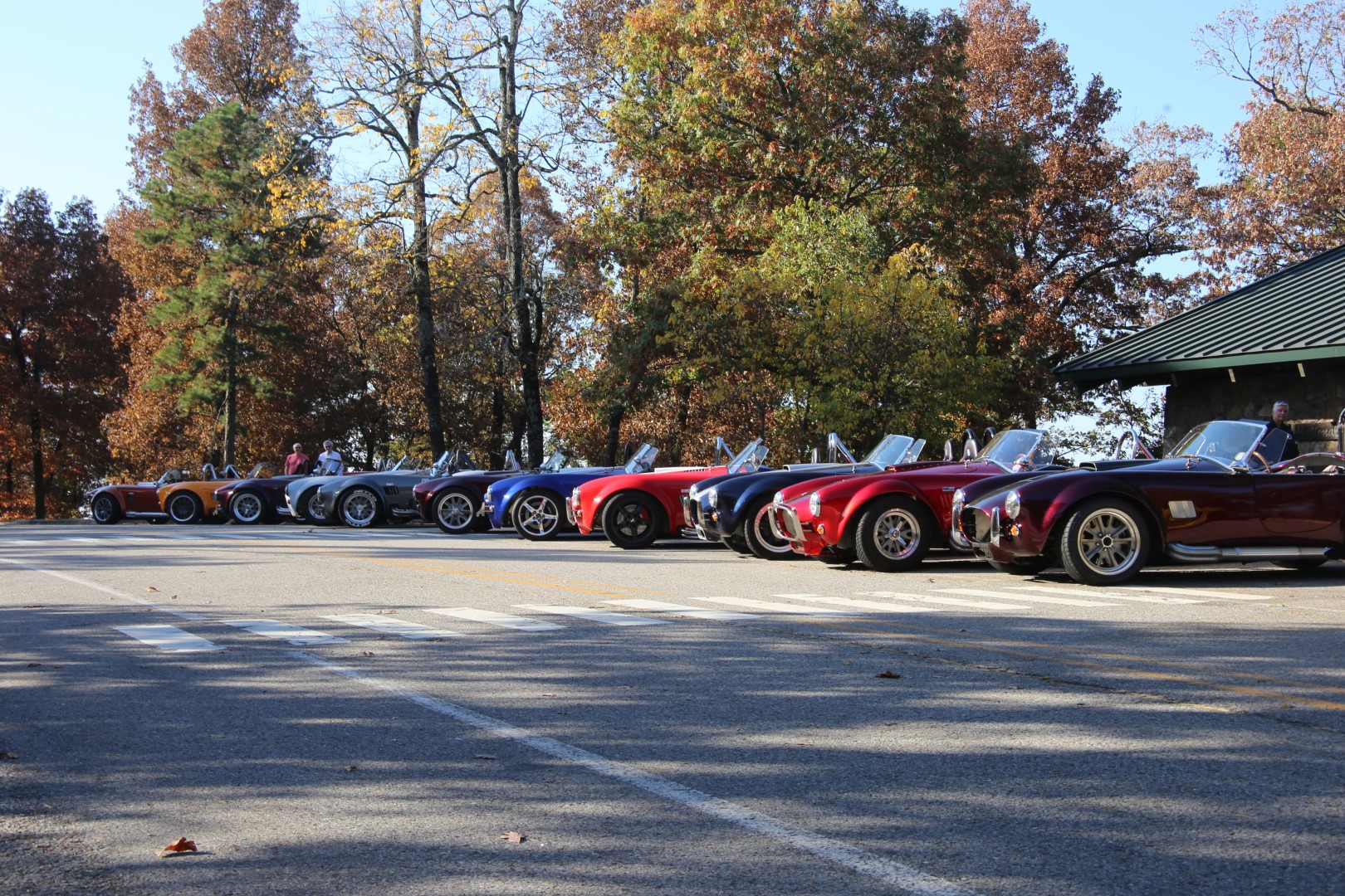 IMG_6336 (Large).JPG