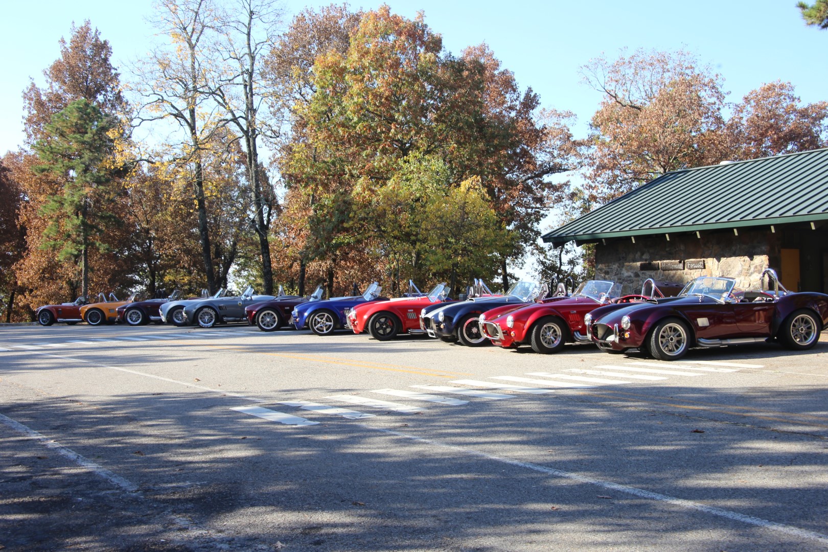 IMG_6343 (Large).JPG