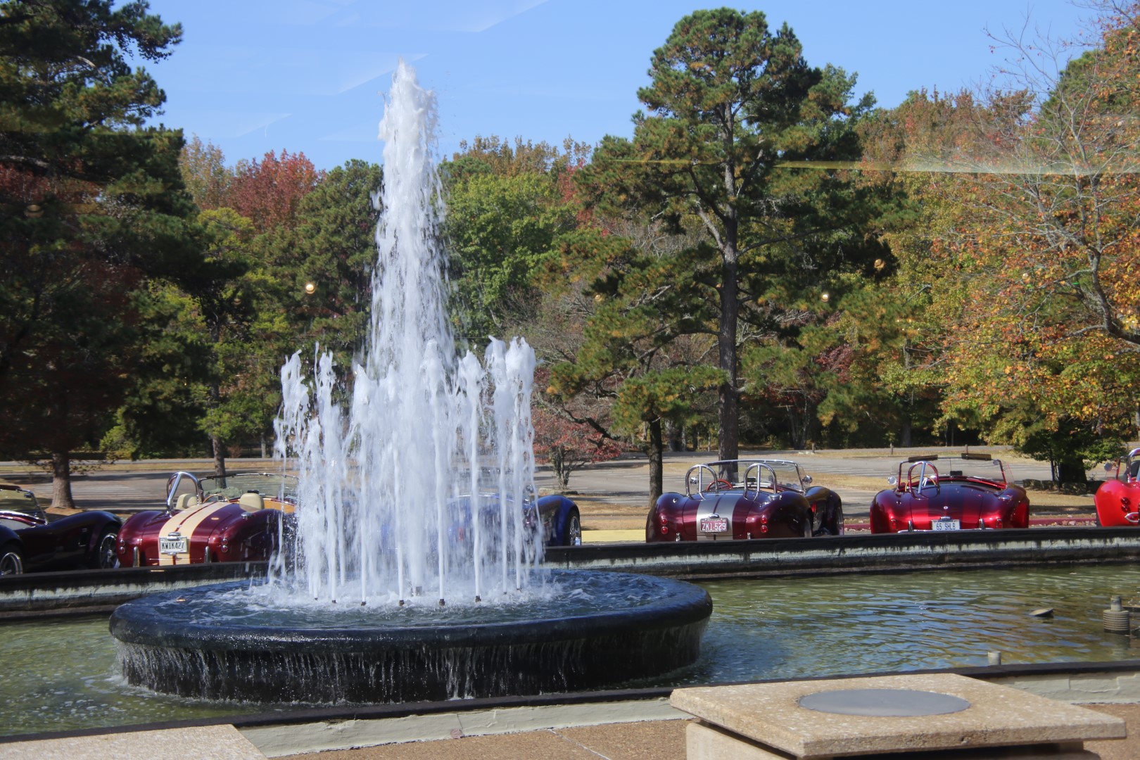 IMG_6376 (Large).JPG