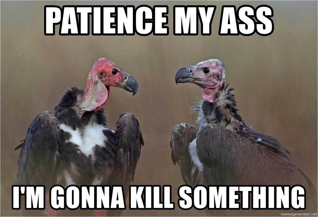 patience-my-ass-im-gonna-kill-something.jpg