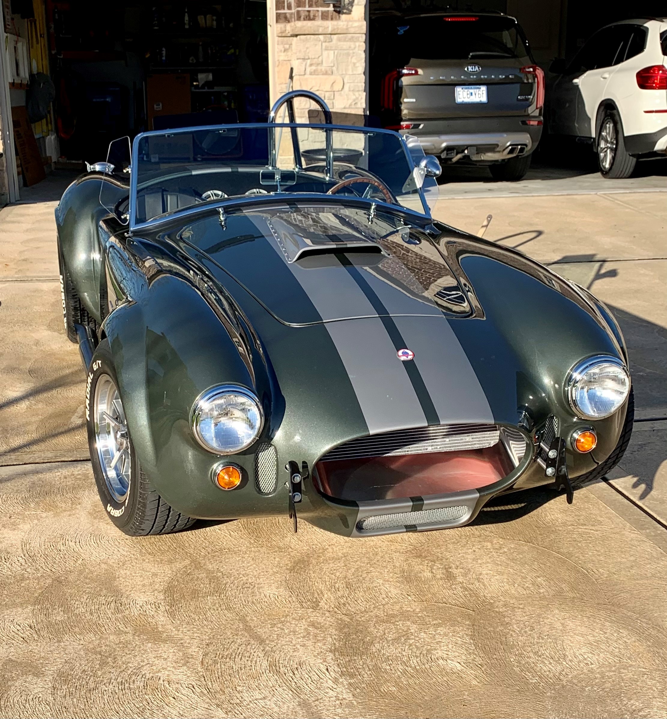Cobra nose.jpg